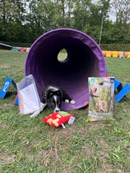 tunnels cup 2026 3
